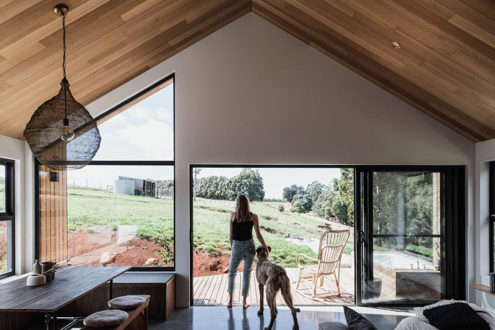 Davies Design and Construction Barn House Penguin Project